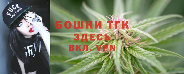 таблы Гусь-Хрустальный