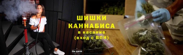 гидропоника Гусев