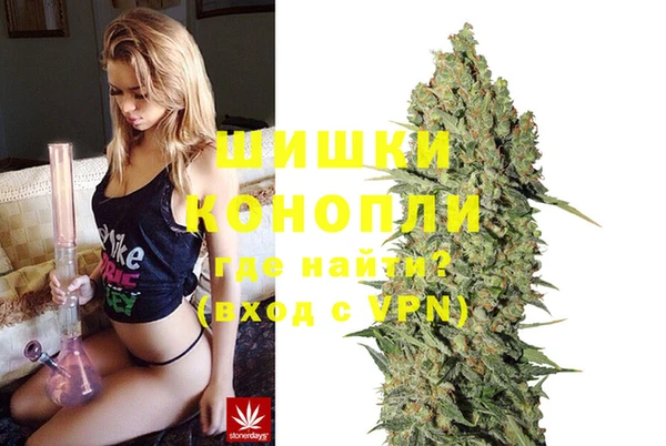 гидропоника Гусев