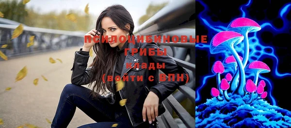 стафф Гусиноозёрск
