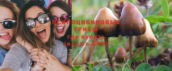 гашишное масло Дмитровск