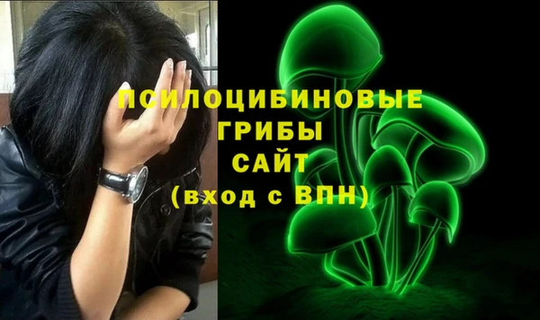 шишки Дмитров