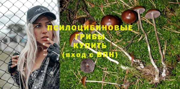 таблы Гусь-Хрустальный