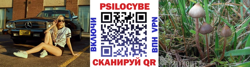 Псилоцибиновые грибы прущие грибы  Купить закладки  Краснознаменск 