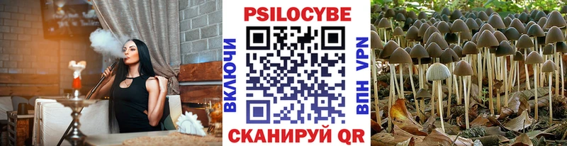 Псилоцибиновые грибы Magic Shrooms Краснознаменск