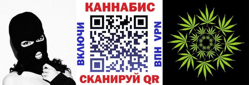 Бошки марихуана семена  Купить где  Краснознаменск 